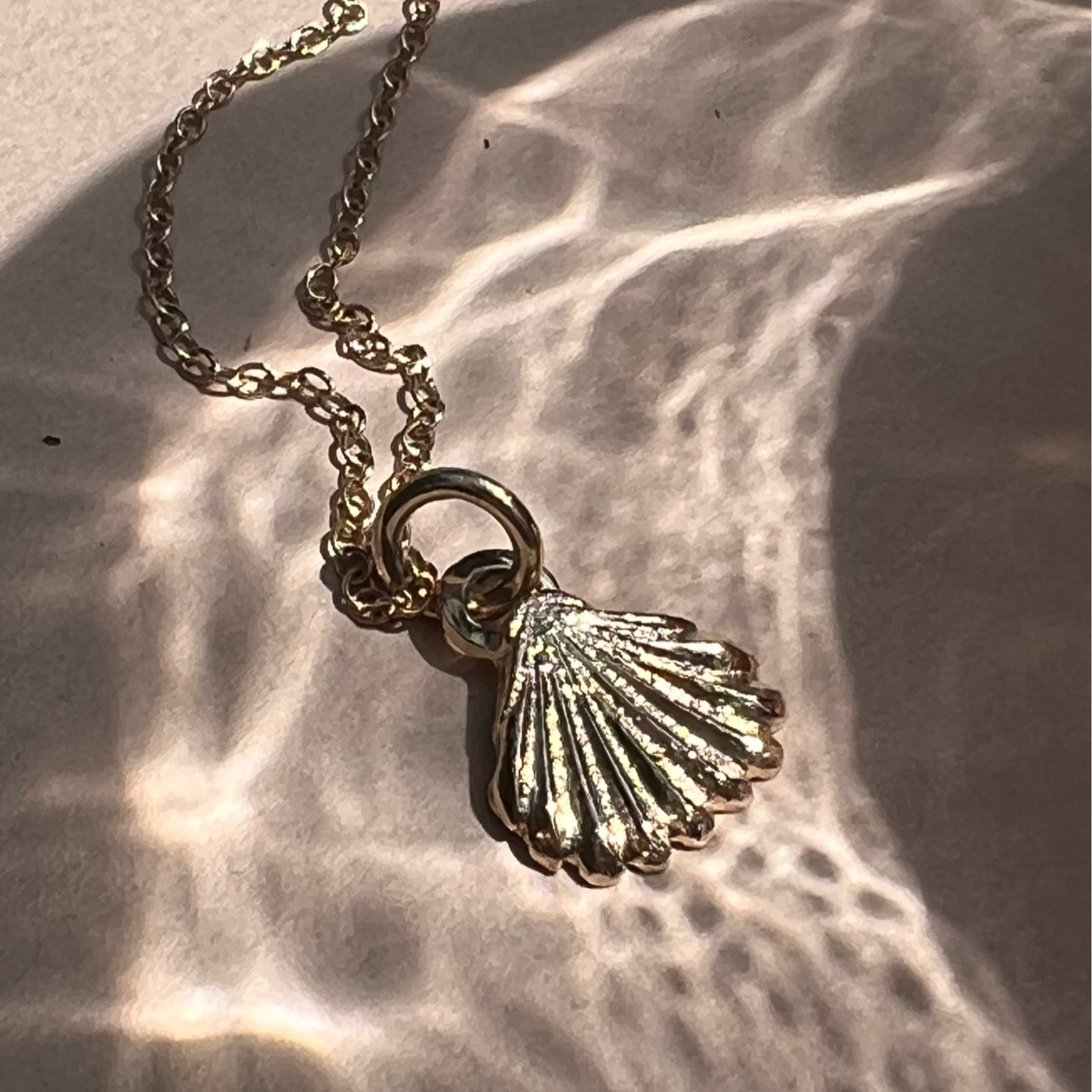 shell charm with water