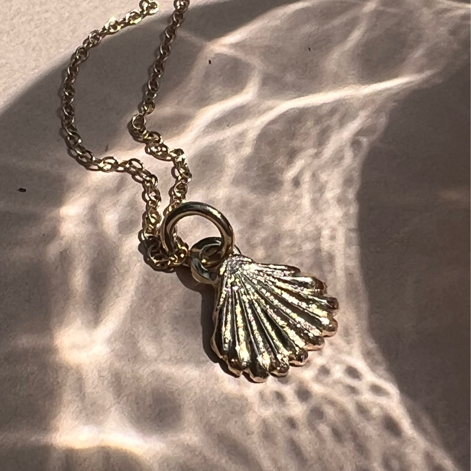 shell charm with water