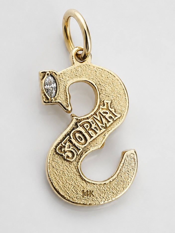 Custom “S” Charm