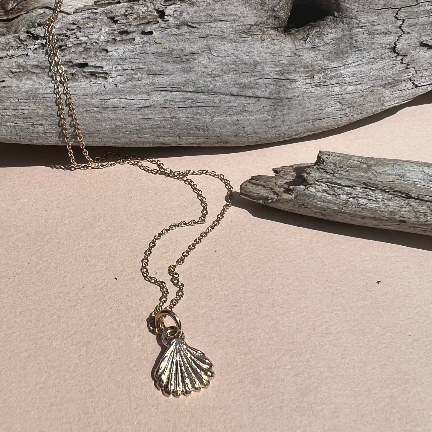 shell charm with drift wood