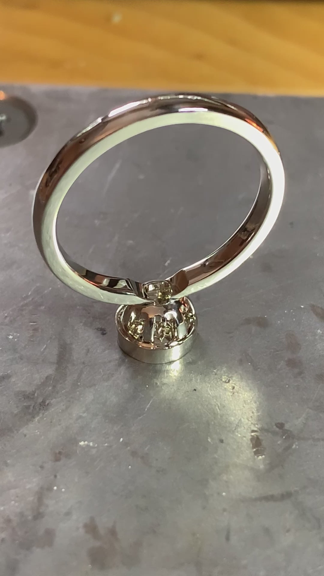 ring video top view