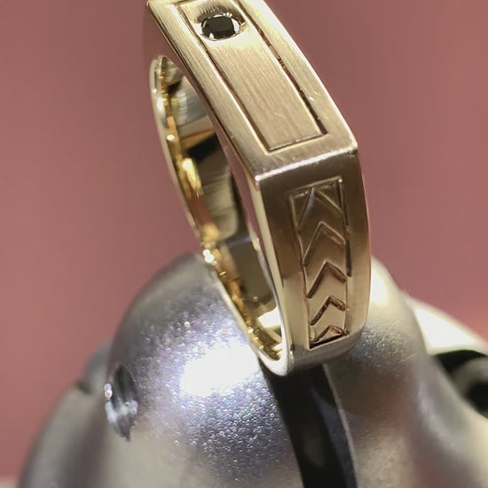 signet video 